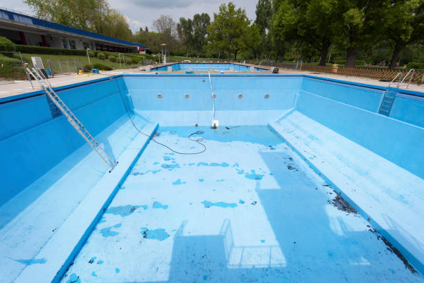 Best Basement water damage restoration  in Warsaw, KY