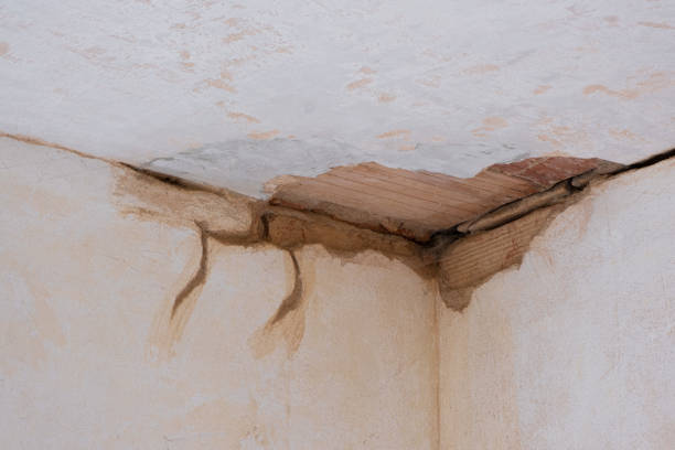 Best Water damage restoration mold remediation  in Warsaw, KY