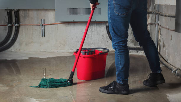 Best 24-hour water damage restoration  in Warsaw, KY
