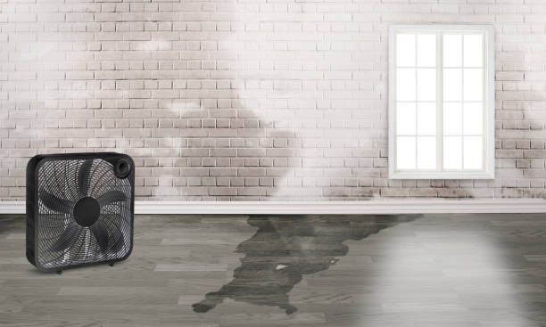 Best Fire Damage Restoration  in Warsaw, KY