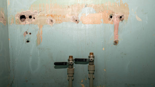 Carpet water damage restoration in Warsaw, KY