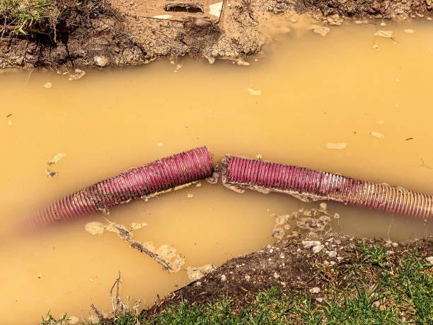 Best Sewage cleanup and water damage restoration  in Warsaw, KY