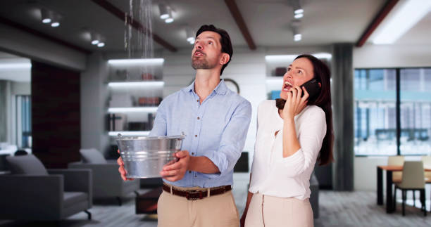 Best Ceiling water damage repair  in Warsaw, KY