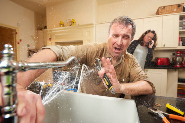 Best Carpet water damage restoration  in Warsaw, KY